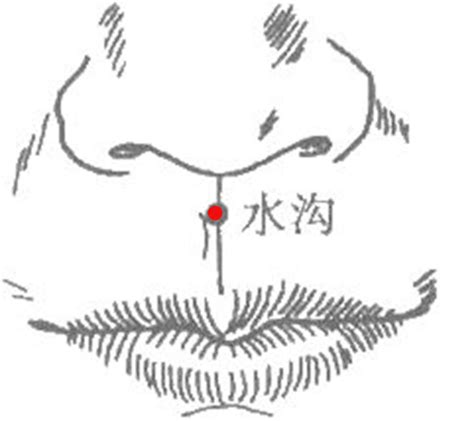 人中作用|人中的位置和功效与作用是什么